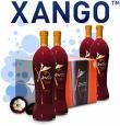 Sumo de Mangost�o - Distribuidor Independente Xango